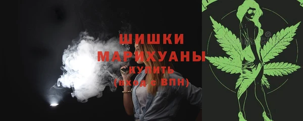 круглые Гусев