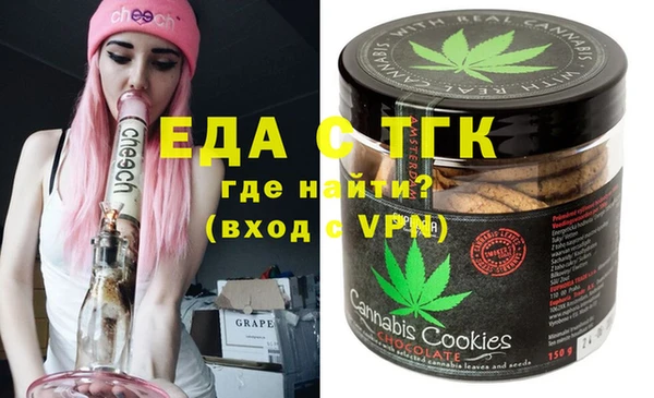 индика Гусь-Хрустальный