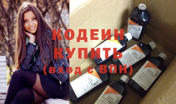 индика Гусь-Хрустальный