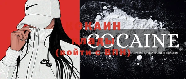 индика Гусь-Хрустальный