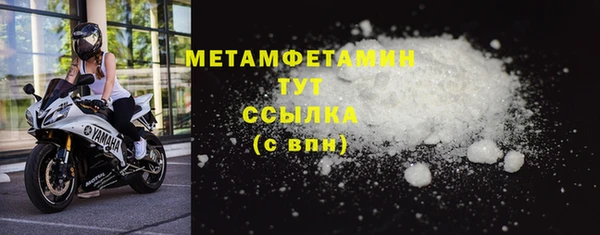 индика Гусь-Хрустальный