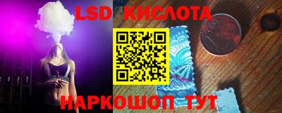 прущие грибы Кимры
