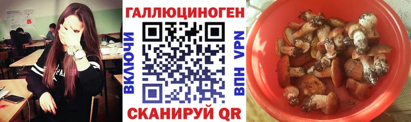 Псилоцибиновые грибы прущие грибы  mega как зайти  Сосновоборск 