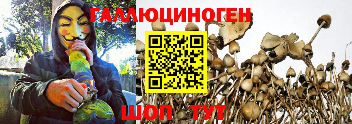 Сосновоборск  Галлюциногенные грибы мухоморы  наркошоп  Вход с VPN 