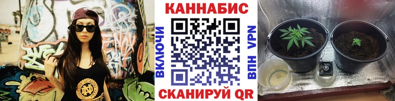как найти закладки  Сосновоборск  МАРИХУАНА марихуана 